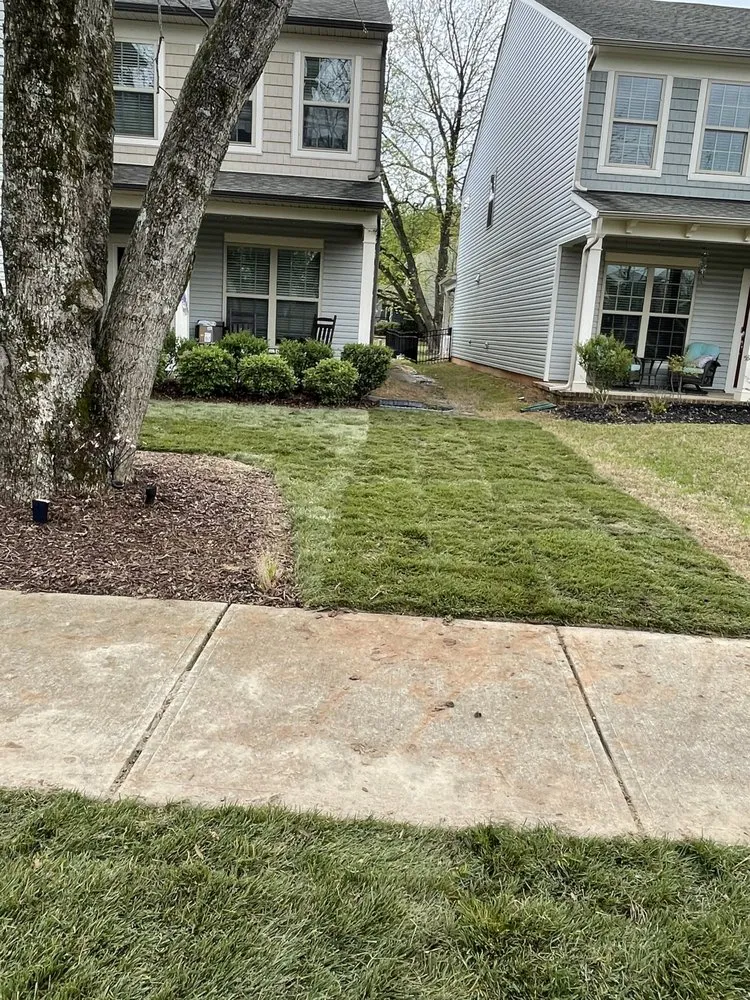 Top-rated garden landscaping experts serving Huntersville, NC - That Guy Ryan Landscaping