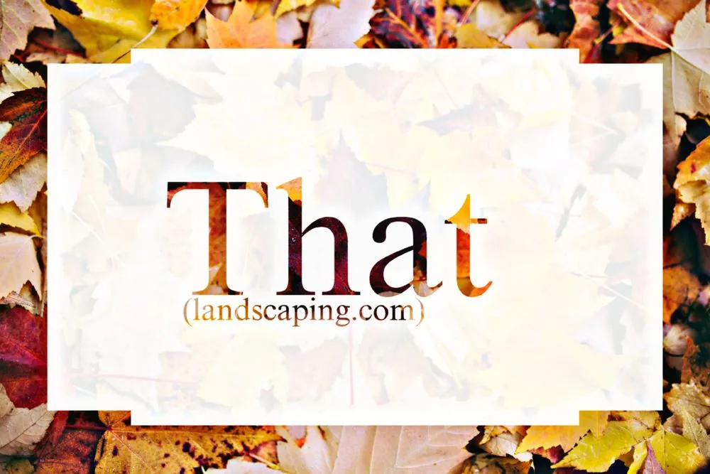 Top-rated landscape installation in Omaha, NE by That Landscaping