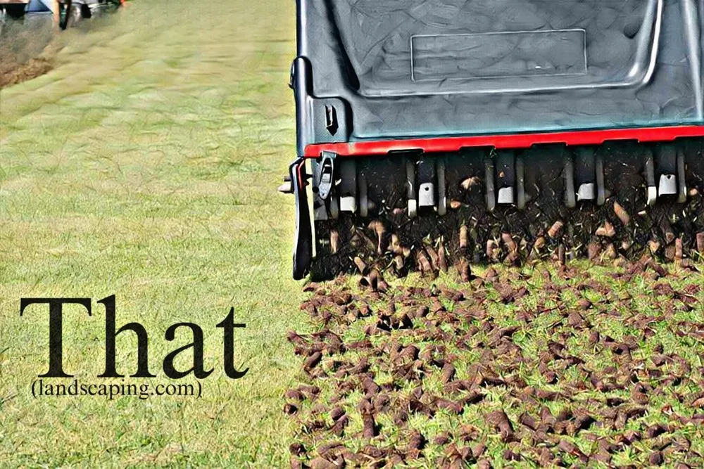 Local landscape installation for beautiful yards across Omaha, NE - That Landscaping