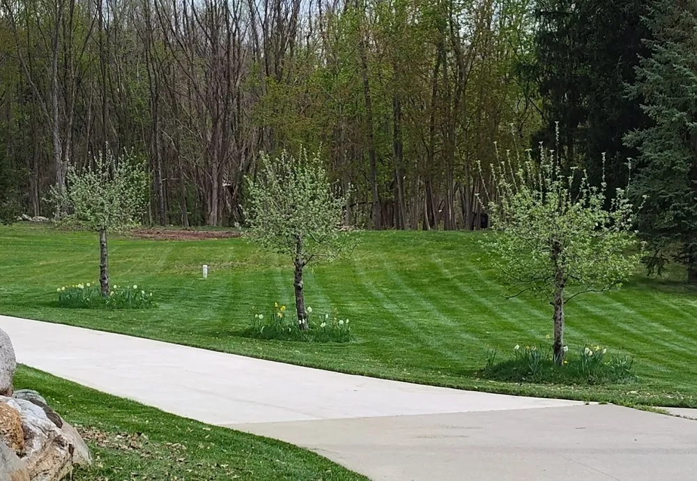 Reliable yard cleanup service in White Lake, MI - That Lawn & Snow