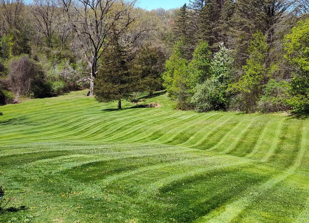 Top-rated residential landscaping for residential properties in White Lake, MI by That Lawn & Snow