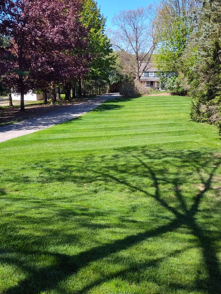 Affordable yard maintenance for year-round maintenance in White Lake, MI by That Lawn & Snow