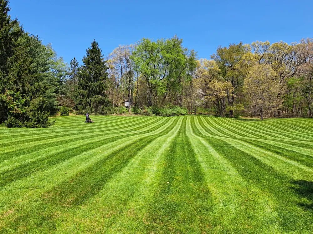 Reliable garden landscaping near you in White Lake, MI by That Lawn & Snow