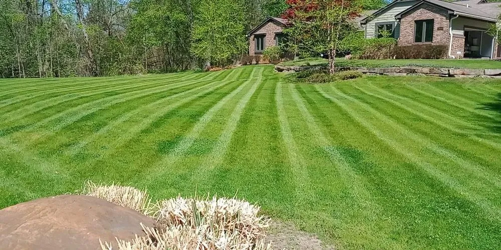 Reliable yard maintenance for beautiful yards in White Lake, MI by That Lawn & Snow