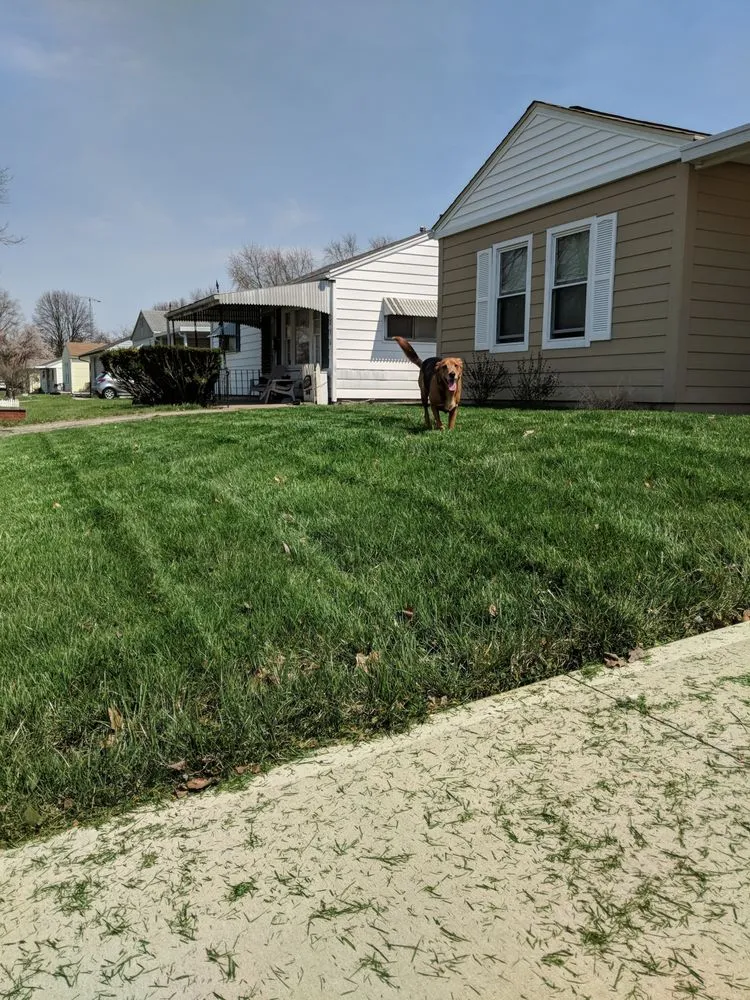 Affordable yard cleanup service for residential properties across Dayton, OH - That Lawn Guy