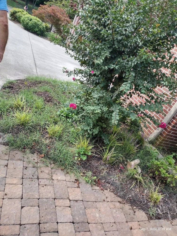 Affordable landscaping services for residential properties across Clinton, TN - That One Chick Cleaning Services