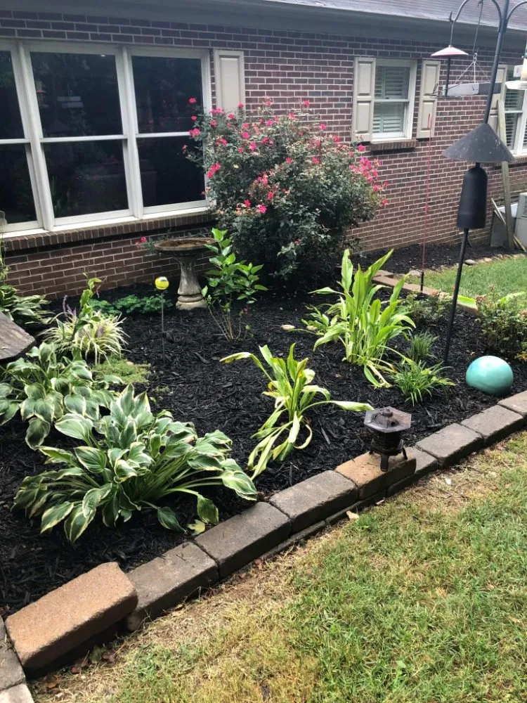 Reliable garden landscaping for beautiful yards across Clinton, TN - That One Chick Cleaning Services