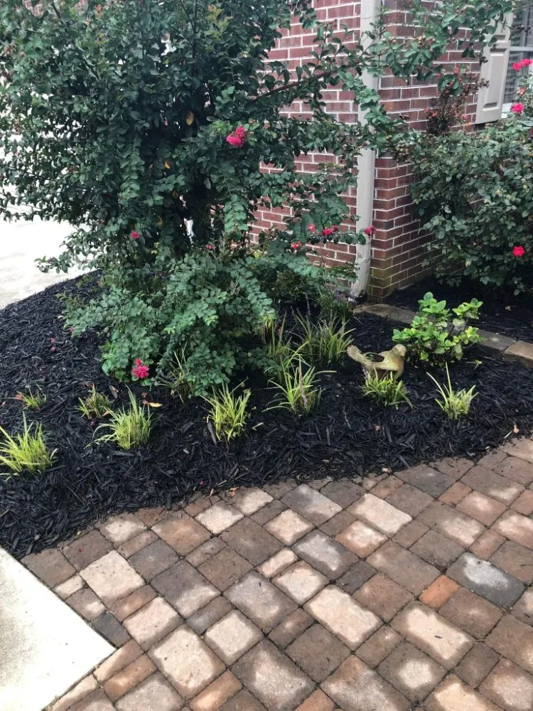 Top-rated yard maintenance experts serving Clinton, TN - That One Chick Cleaning Services