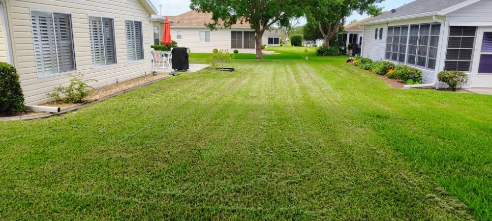 Trusted yard maintenance for year-round maintenance across Summerfield, FL - That One Guy Lawn Care