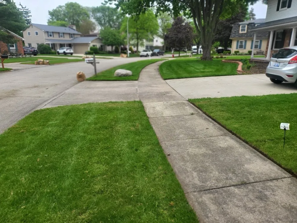 Professional yard maintenance for homes across Westland, MI - That One Guy's Lawn Care