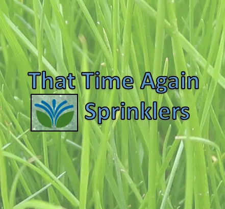 Custom yard cleanup service in Macomb, MI - That Time Again Sprinklers