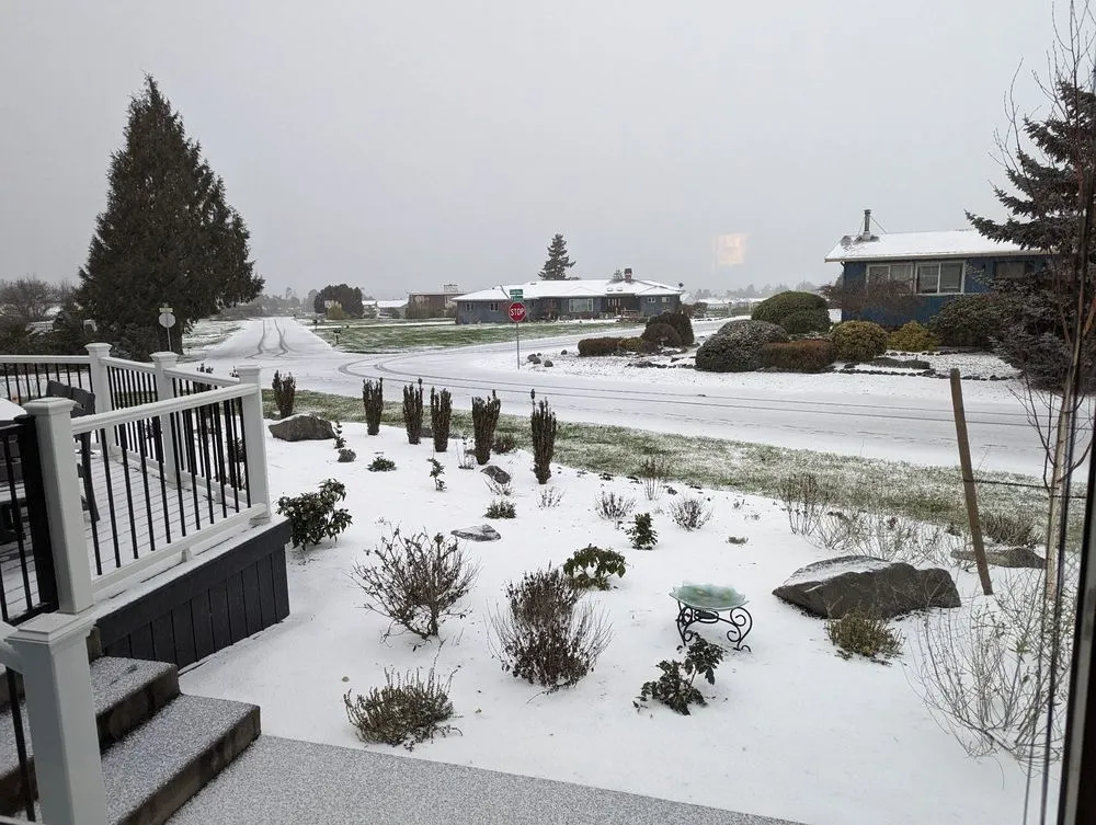 Custom yard cleanup service in Sequim, WA - That Yard Guy