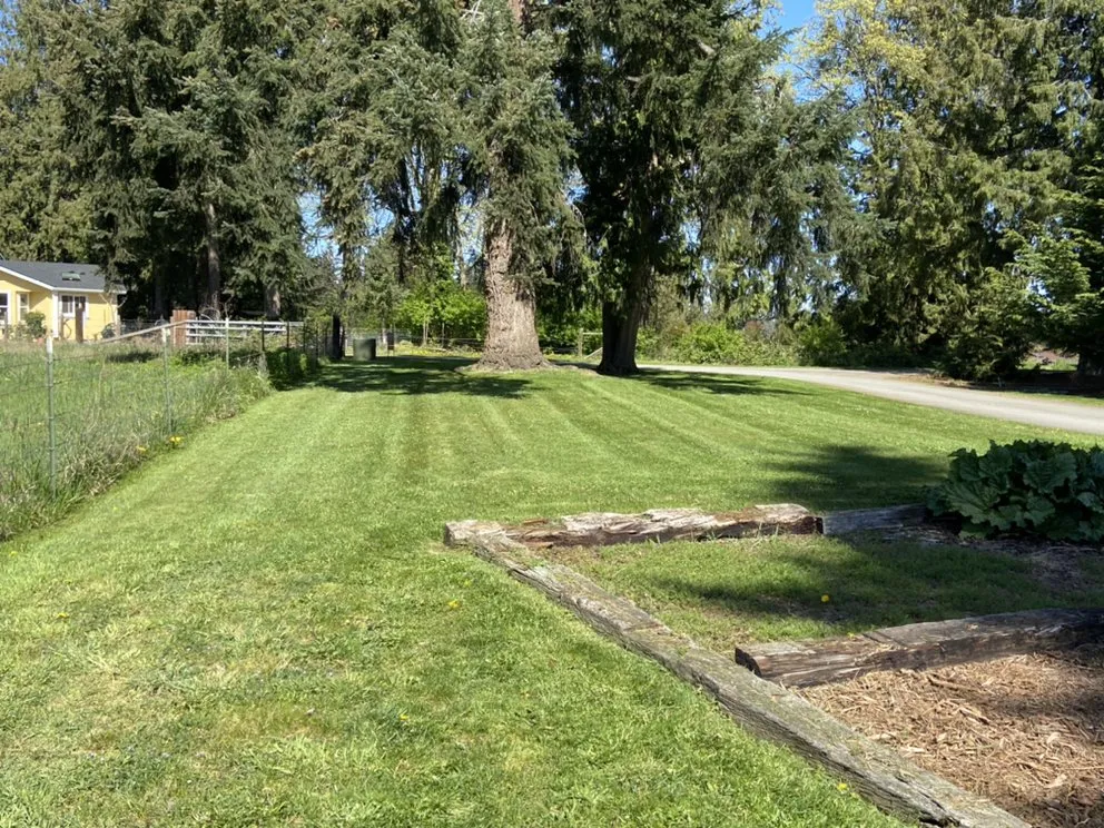Trusted residential landscaping for year-round maintenance across Sequim, WA - That Yard Guy