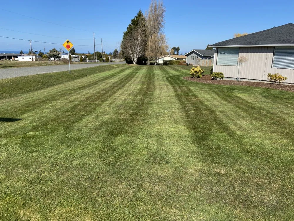 Professional landscape installation for residential properties in Sequim, WA by That Yard Guy