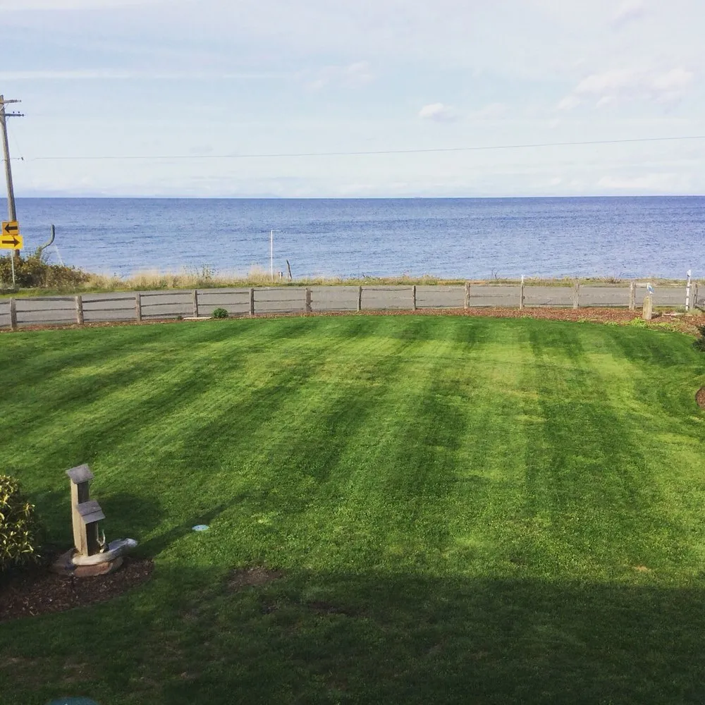Local yard maintenance in Sequim, WA by That Yard Guy