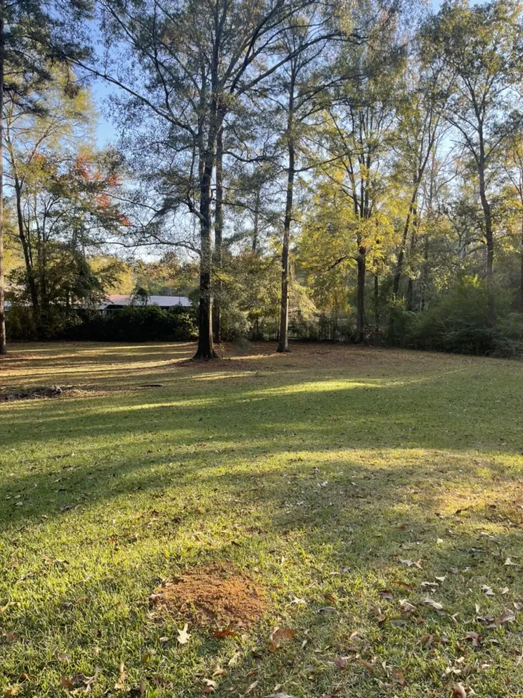 Local residential landscaping experts serving West Monroe, LA - Thatchers Lawn Services