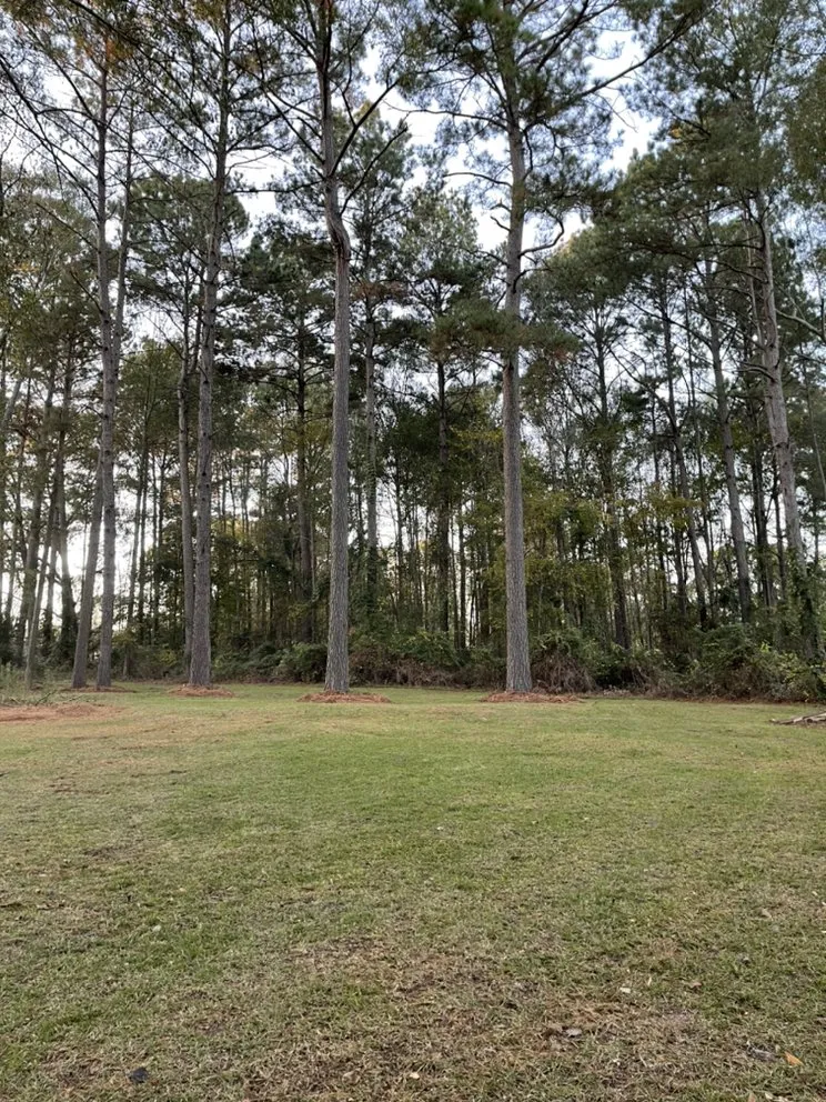 Top-rated residential landscaping for year-round maintenance in West Monroe, LA by Thatchers Lawn Services