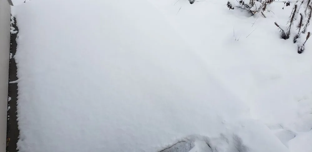 Custom landscaping services with custom design in Colorado Springs, CO by That's How Cedar Do