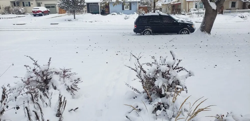 Top-rated residential landscaping in Colorado Springs, CO by That's How Cedar Do