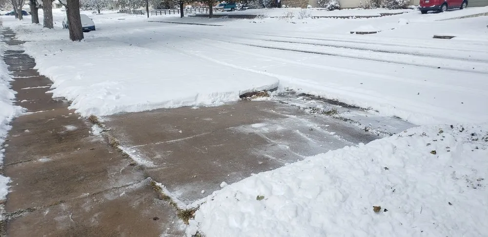 Local yard maintenance experts serving Colorado Springs, CO - That's How Cedar Do