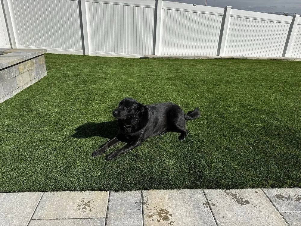 Trusted residential landscaping for homes in Layton, UT by Thats Turf