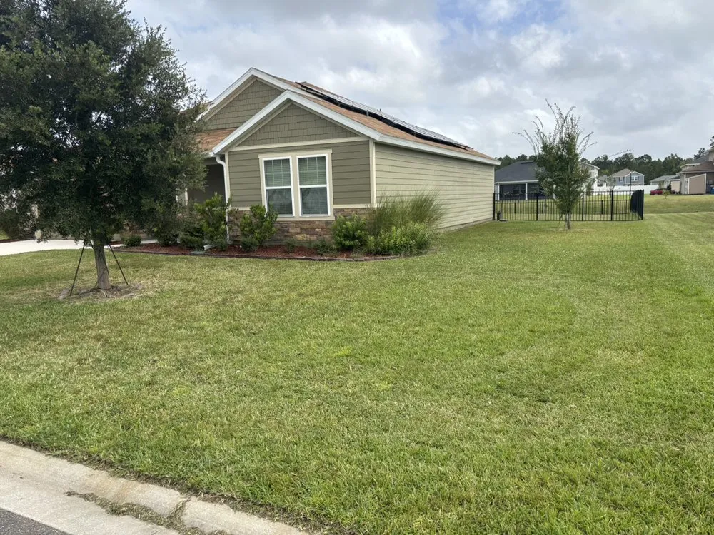 Affordable yard cleanup service in Jacksonville, FL - That's Wuz Up