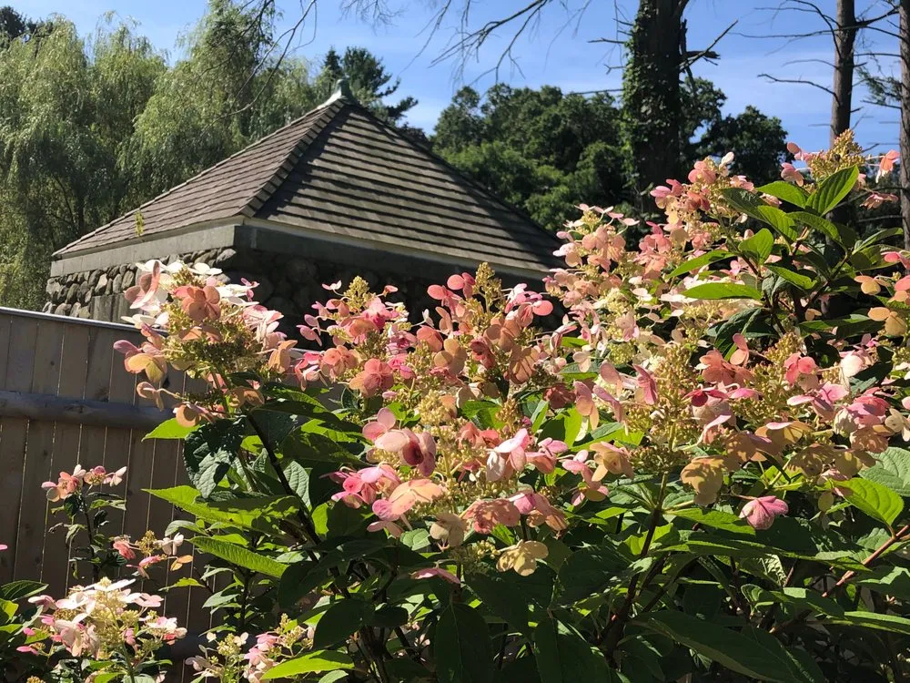 Reliable yard cleanup service in Milton, MA - Thayer Nursery