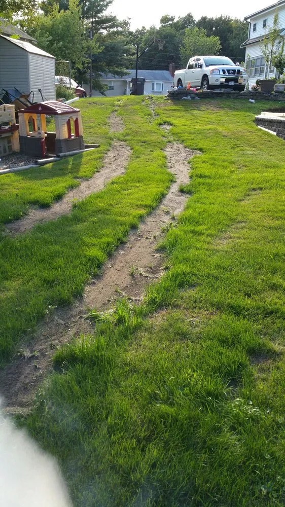 Top-rated landscape design in Milton, MA - Thayer Nursery