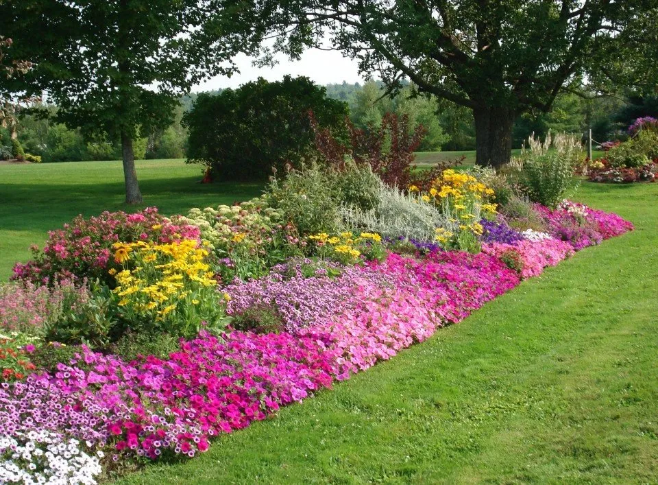 Expert landscape installation in Milton, MA by Thayer Nursery