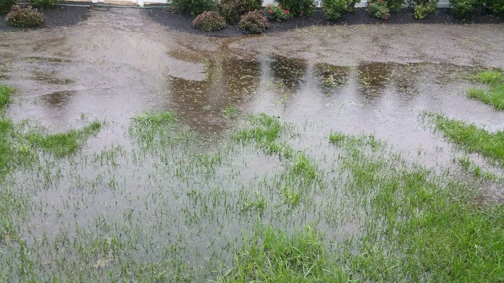 Affordable landscape installation with custom design across Milton, MA - Thayer Nursery