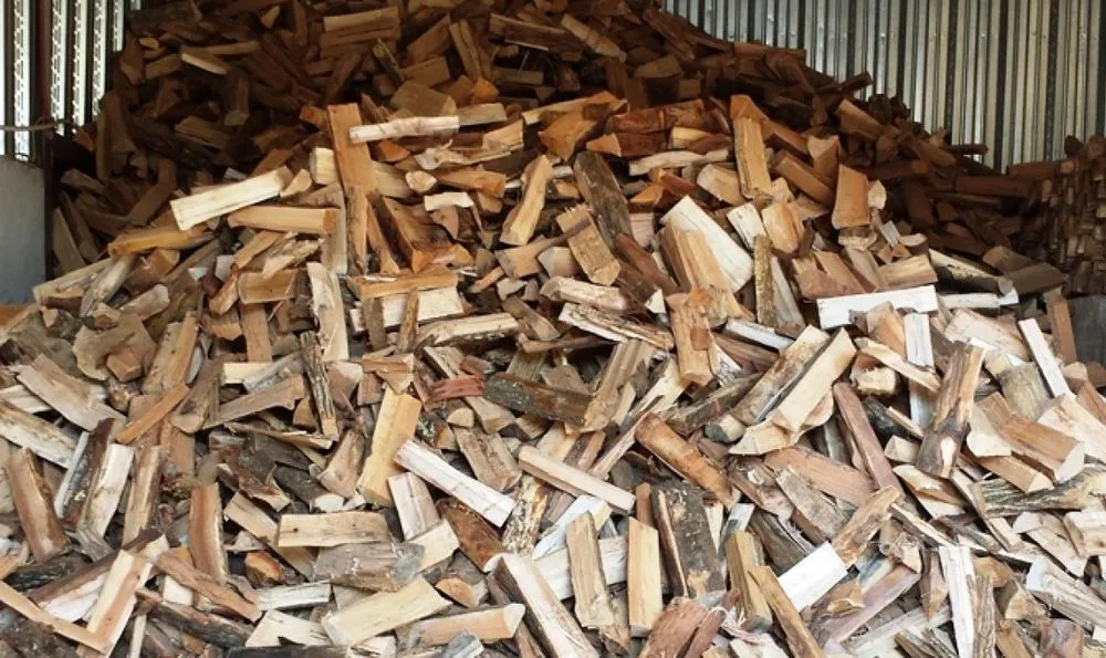 Top-rated landscaping services in Milton, MA by Thayer Nursery