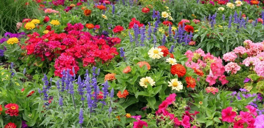 Custom residential landscaping for year-round maintenance in Milton, MA by Thayer Nursery