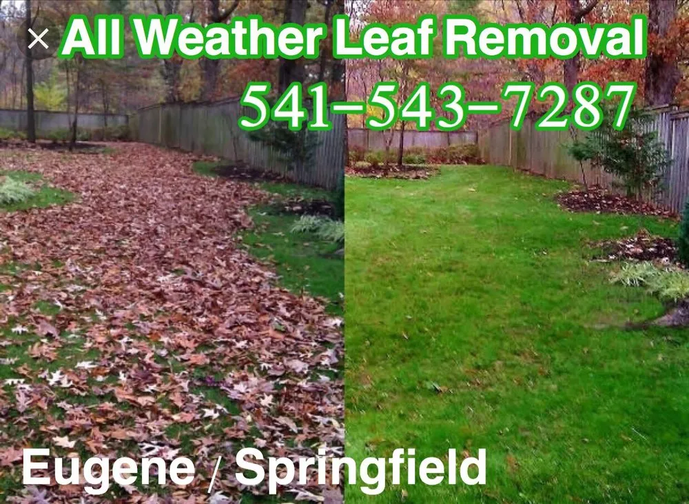 Custom yard maintenance for year-round maintenance in Springfield, OR by Thayer Property Services