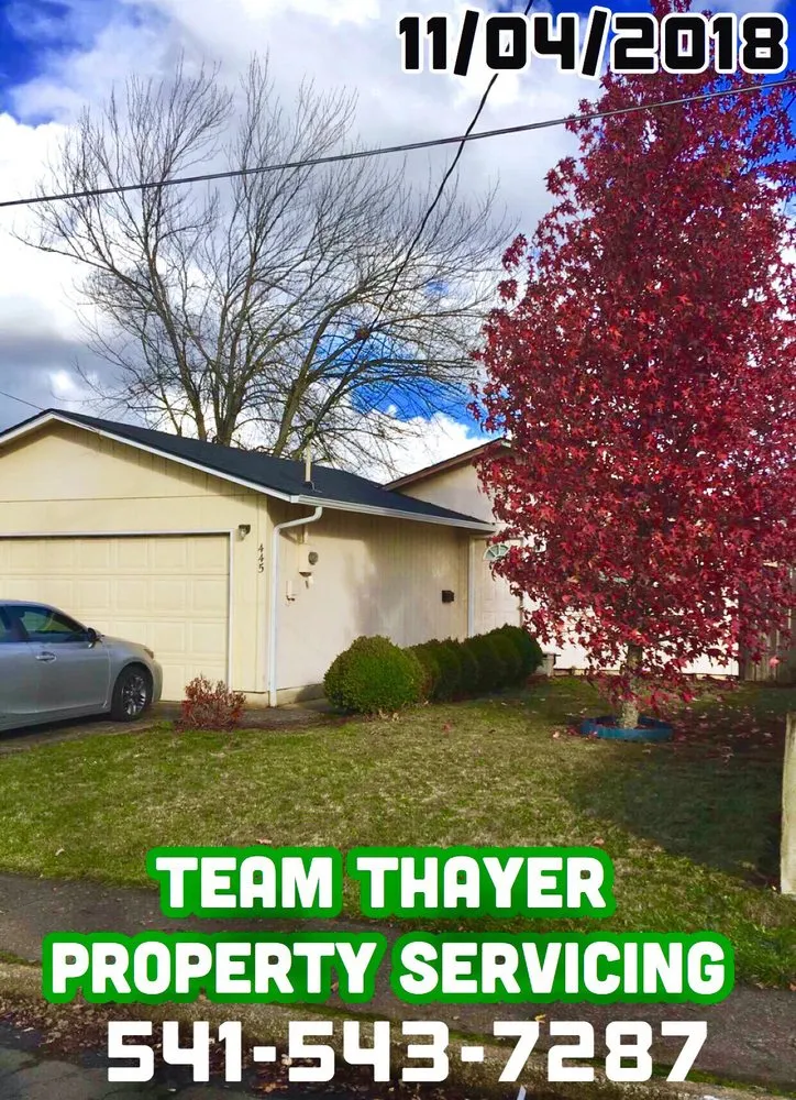 Reliable yard maintenance experts serving Springfield, OR - Thayer Property Services