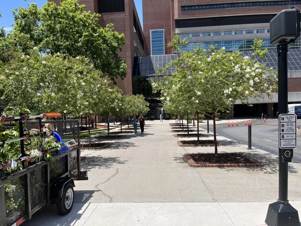 Trusted residential landscaping near you in Keystone Heights, FL by Thaysen Land services