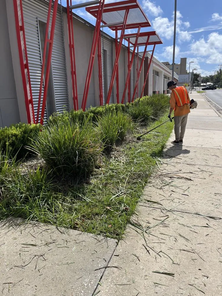 Affordable lawn mowing service in Keystone Heights, FL - Thaysen Land services