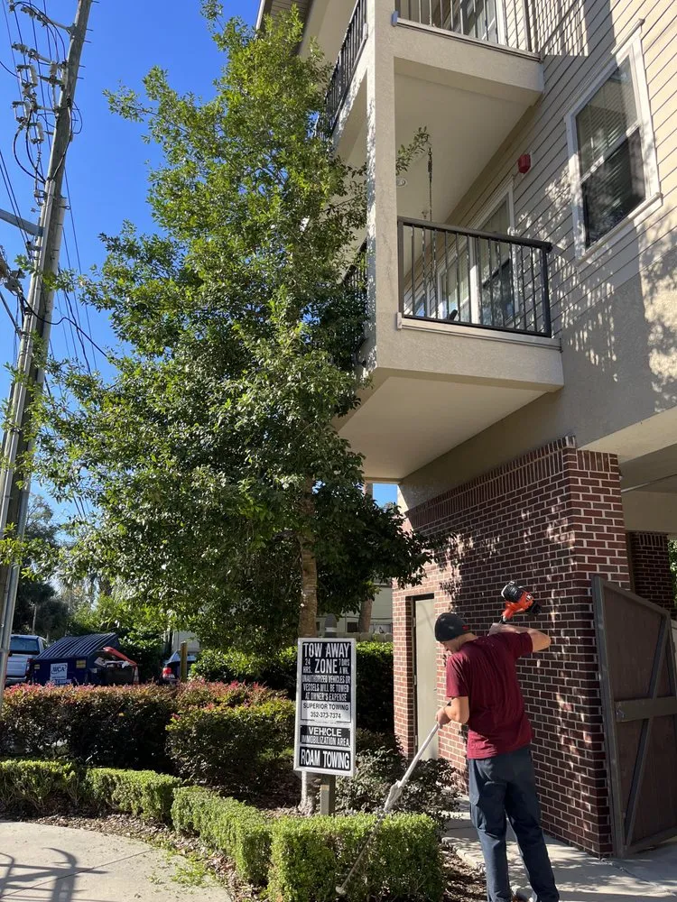 Top-rated landscape installation for year-round maintenance in Keystone Heights, FL by Thaysen Land services