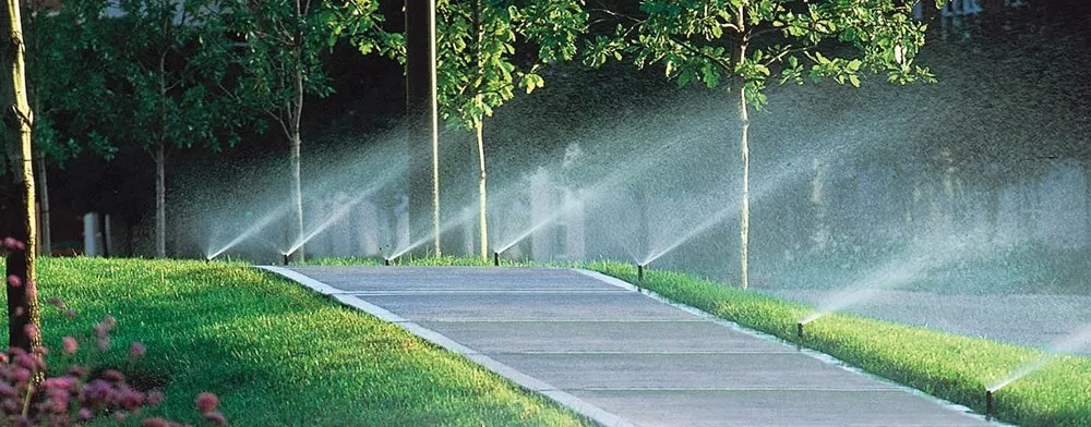 Trusted yard maintenance for residential properties in Fort Pierce, FL by The 2 Brothers Irrigation Services and Repairs