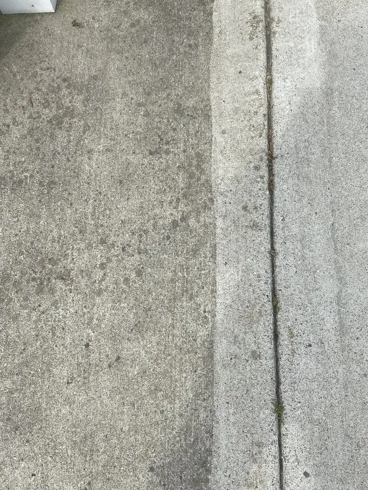 Expert yard maintenance for homes in Buffalo, NY by The 4 Seasons Home Care