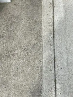 The 4 Seasons Home Care Logo