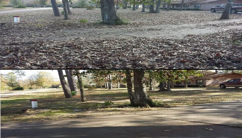 Reliable lawn care service in Groves, TX - The 409 Mowers