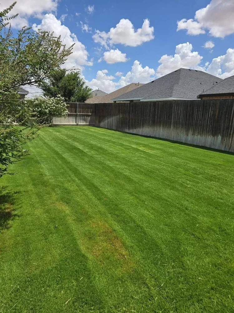 Reliable residential landscaping in Odessa, TX by The 99 Lawn Maintenance & Trash Disposal