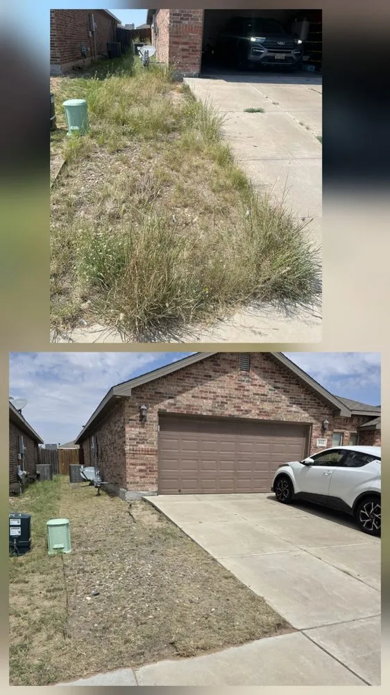 Trusted lawn care service experts serving Odessa, TX - The 99 Lawn Maintenance & Trash Disposal