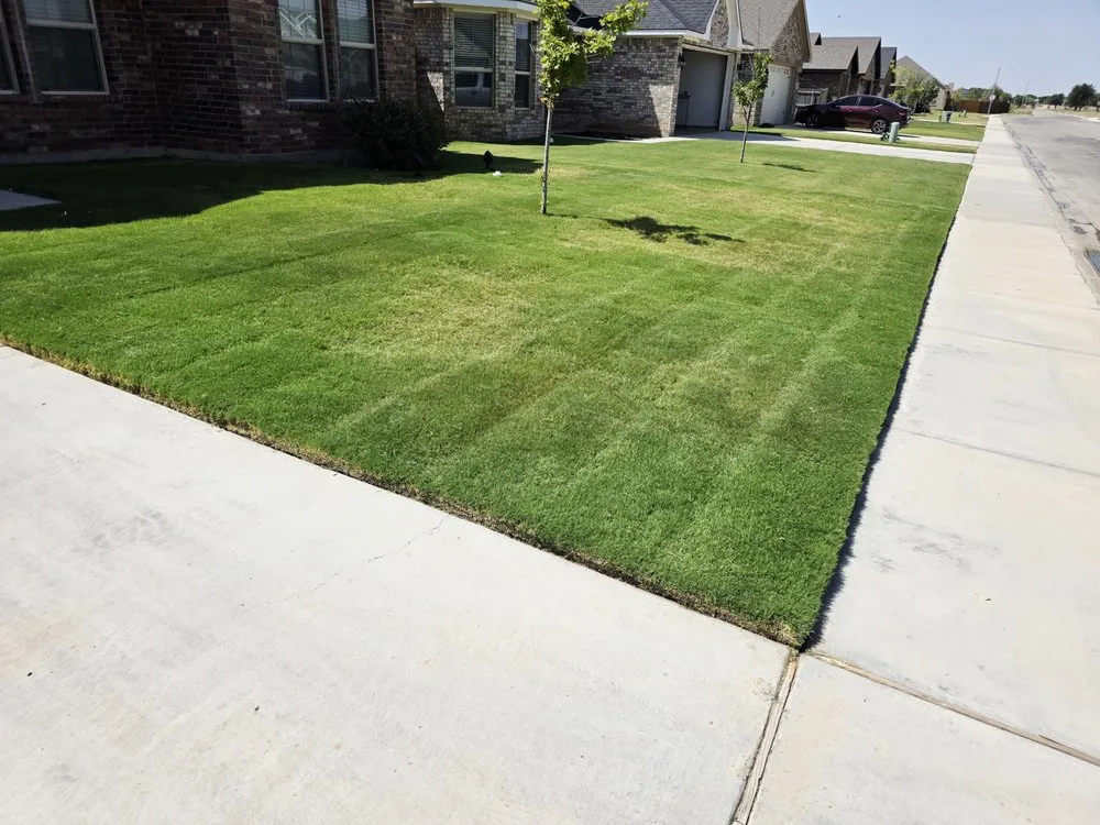 Local yard cleanup service for homes across Odessa, TX - The 99 Lawn Maintenance & Trash Disposal