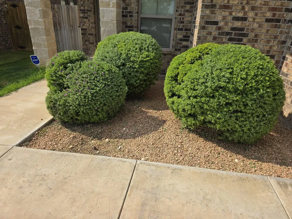 Affordable lawn mowing service for outdoor upgrades across Odessa, TX - The 99 Lawn Maintenance & Trash Disposal