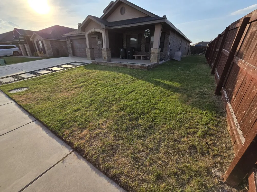 Trusted yard maintenance for year-round maintenance across Odessa, TX - The 99 Lawn Maintenance & Trash Disposal