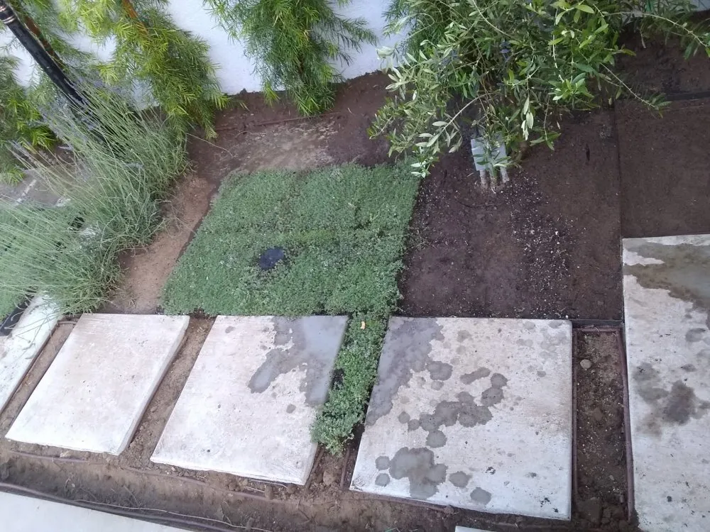 Custom outdoor landscaping for beautiful yards across San Fernando Valley, CA - The A Team Landscape