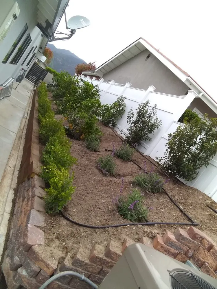 Reliable landscaping services in San Fernando Valley, CA - The A Team Landscape