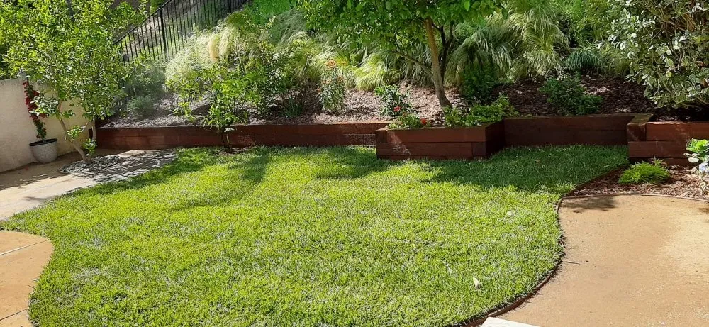 Local landscape design experts serving San Fernando Valley, CA - The A Team Landscape