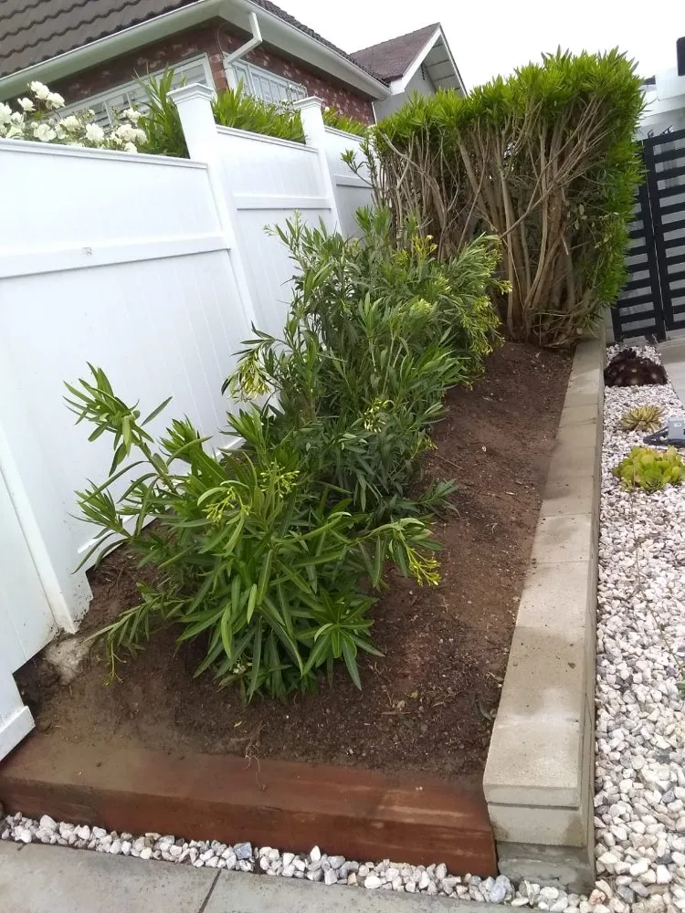 Top-rated lawn care service in San Fernando Valley, CA by The A Team Landscape